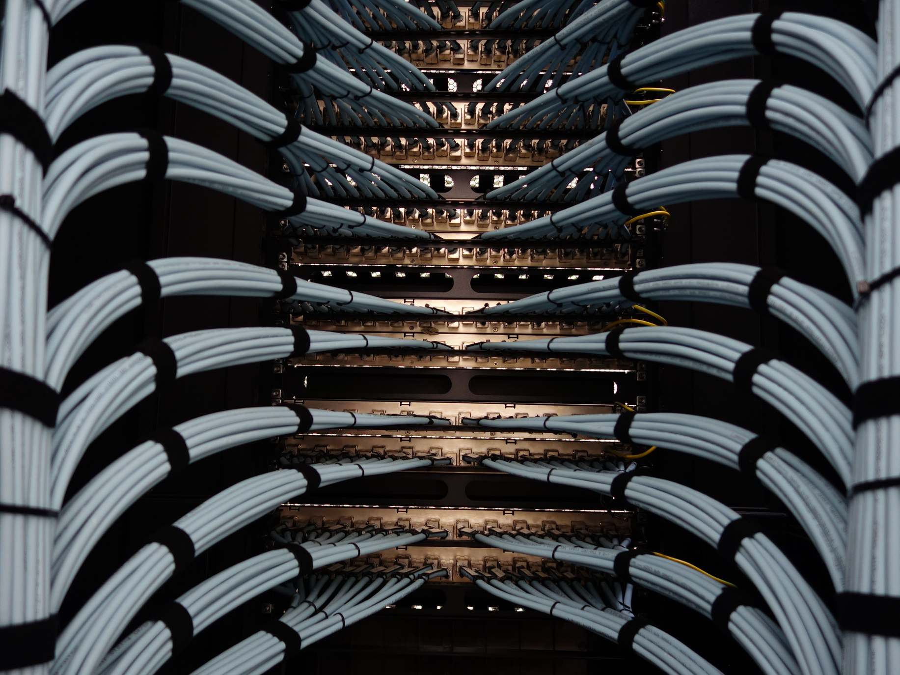 Close view of server hardware and patch cables — organized network server cables for efficient data management